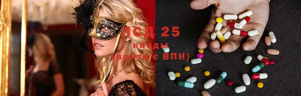 крисы Майский