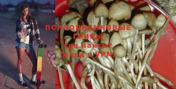 меф Медногорск
