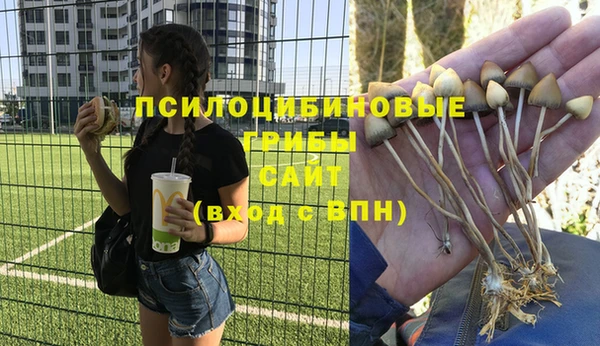 крисы Майский