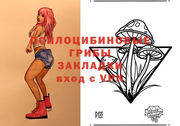 крисы Майский