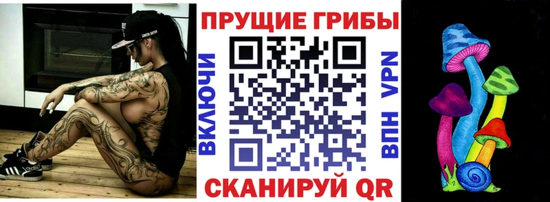 blacksprut   наркотики  Салават  Псилоцибиновые грибы Psilocybe 