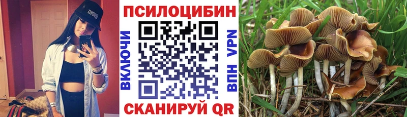 Псилоцибиновые грибы Psilocybe Салават