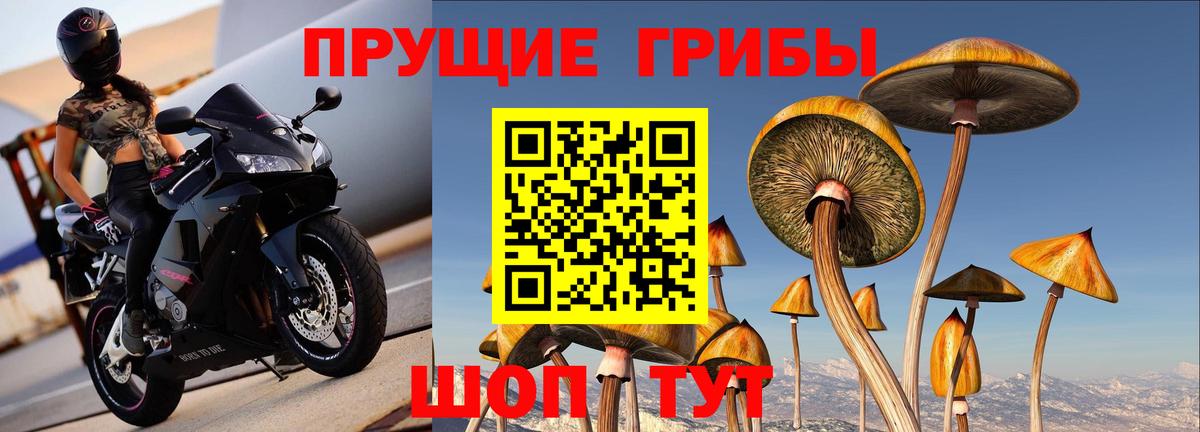 даркнет сайт  Псилоцибиновые грибы MAGIC MUSHROOMS  Вход с VPN  Салават 