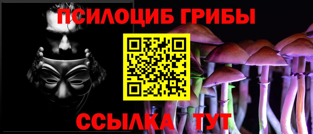Псилоцибиновые грибы Psilocybine cubensis Салават